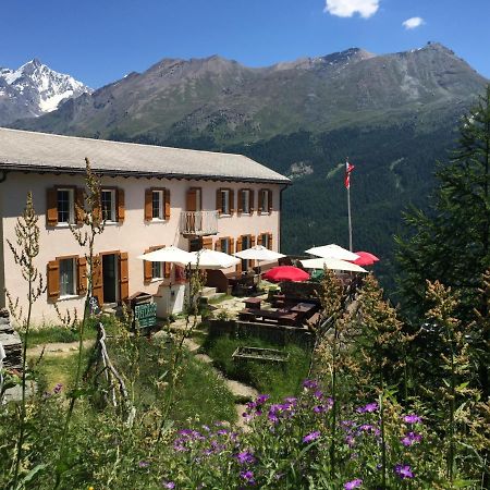 Edelweiss Zermatt - Mountain Hotel Exterior foto
